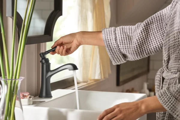 moen bathroom faucets