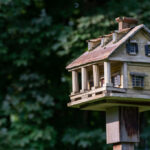 bird houses for sale