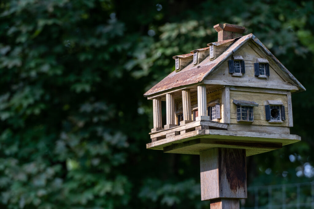 bird houses for sale