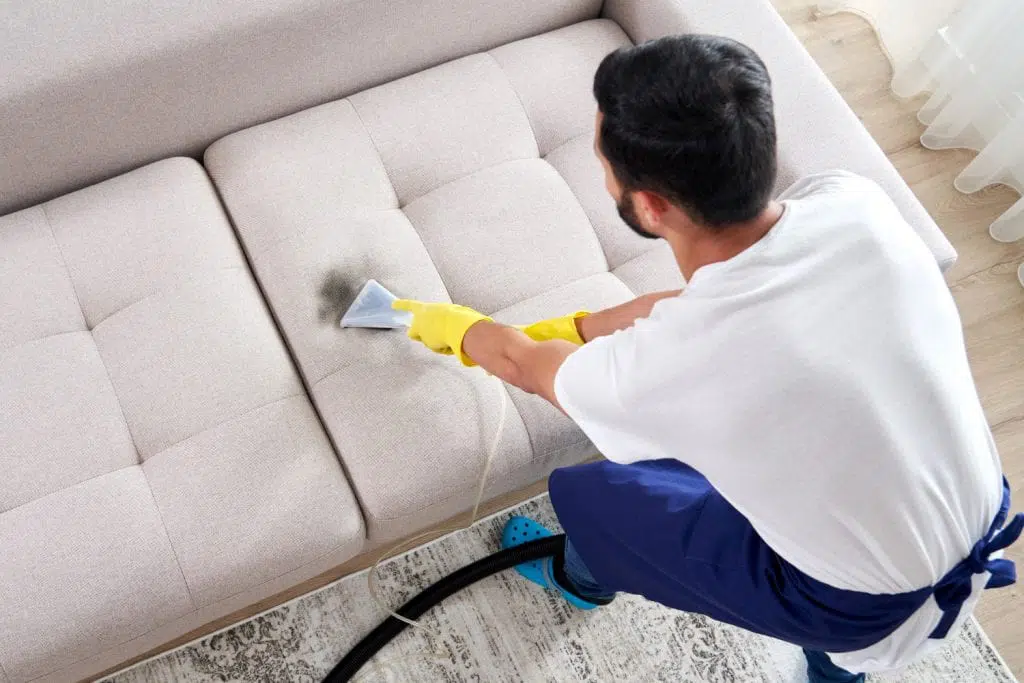 steam clean couch